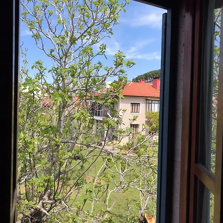 Ferahi Evler 3* Ayvalı